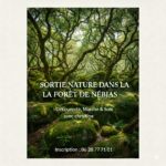 🎁 Formules Cadeaux