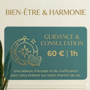 Consultation GUIDANCE 60€ / 1h