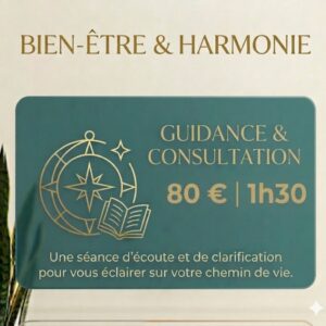 GUIDANCE 80 € / 1H30