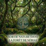 BONS CADEAUX